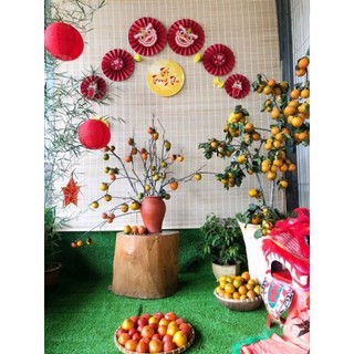 Mành tăm trúc khổ lớn, độ dài theo yêu cầu, mành tăm trang trí tết
