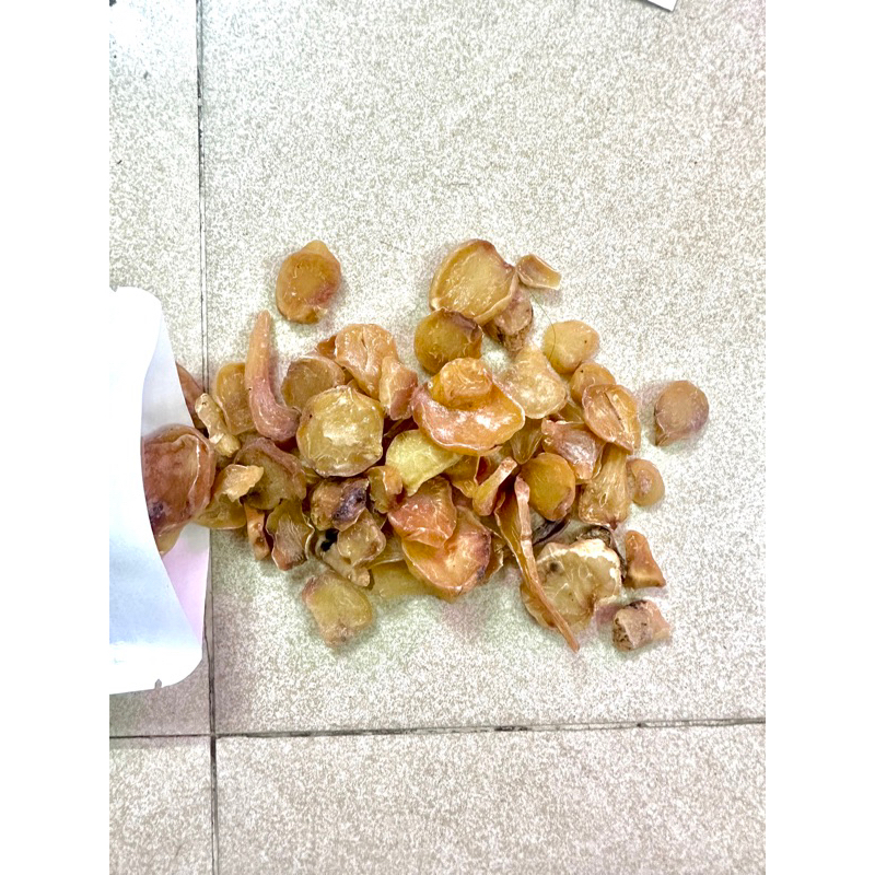 Hắc Phụ Tử ( Sạch, Đẹp ) Hàng Loại 1