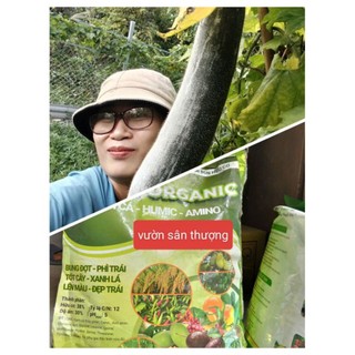 Phân Bón Hữu Cơ Chia Từ Bao 10kg Đạm Cá Humic Amino Vigami Organic