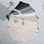 Quần Lót Nữ Thun Lạnh Cao Cấp Trơn Co Giãn Tốt 4 Chiều Mát Lạnh - Đồ Lót Bơ Chíp