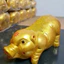 Heo siêu to khổng lồ vàng gold may mắn 35x70cm