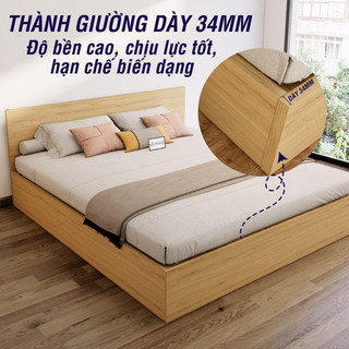 Giường Ngủ Gỗ FIVO FN01, Gỗ Chống Ẩm Cao Cấp, Nhiều Kích Thước, Trả góp 0%, Freeship + Free lắp đặt