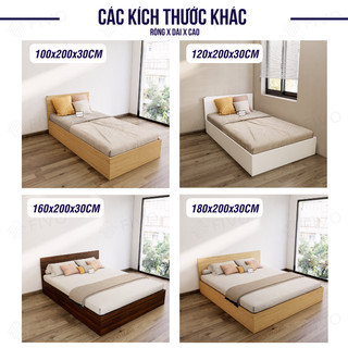 Giường Ngủ Gỗ FIVO FN01, Gỗ Chống Ẩm Cao Cấp, Nhiều Kích Thước, Trả góp 0%, Freeship + Free lắp đặt