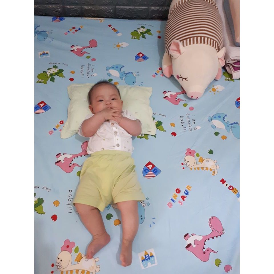 Ảnh Ga chống thấm cotton TILO bọc cũi, giường lau được, thoáng mát không nóng bí, không sột soạt 20 size 4