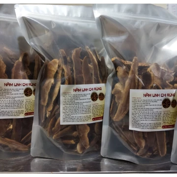 Nấm LINH CHI rừng thái lát và nguyên miếng hàng chuẩn [0,5kg-1kg]