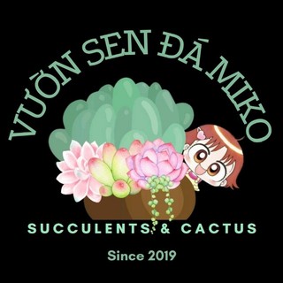 Đôla Bạc/Tai Thỏ cả chậu size 7cm thích hợp làm quà tặng, sự kiện Mầm Nắng Garden lỗi 1 đền 1