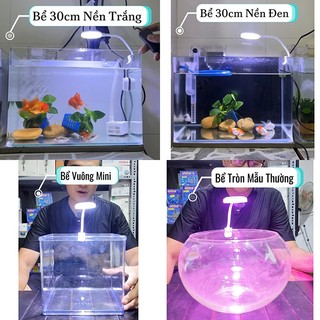 Jeneca D1s đèn led kẹp mini cho bể cá cảnh, thủy sinh (3 chế độ màu) Sale