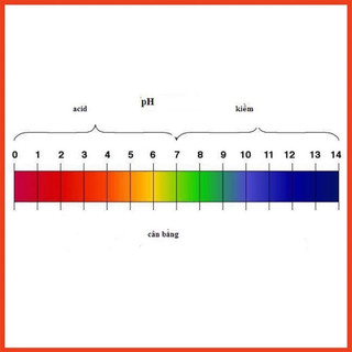 Giấy Quỳ Tím Thử Độ pH Thang Đo Từ 1 Đến 14 - 80 miếng kèm bảng màu