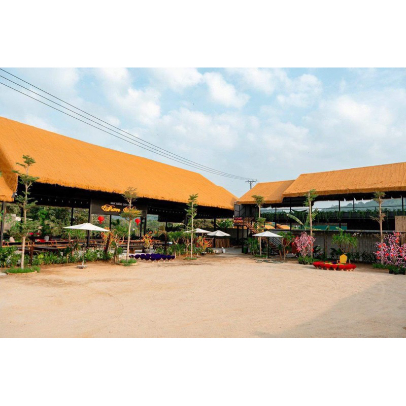 Rơm nhân tạo 10m vuông (1m *10m), trải mái nhà, làm chồi lều trại, khu du lịch, bảng quảng cáo.