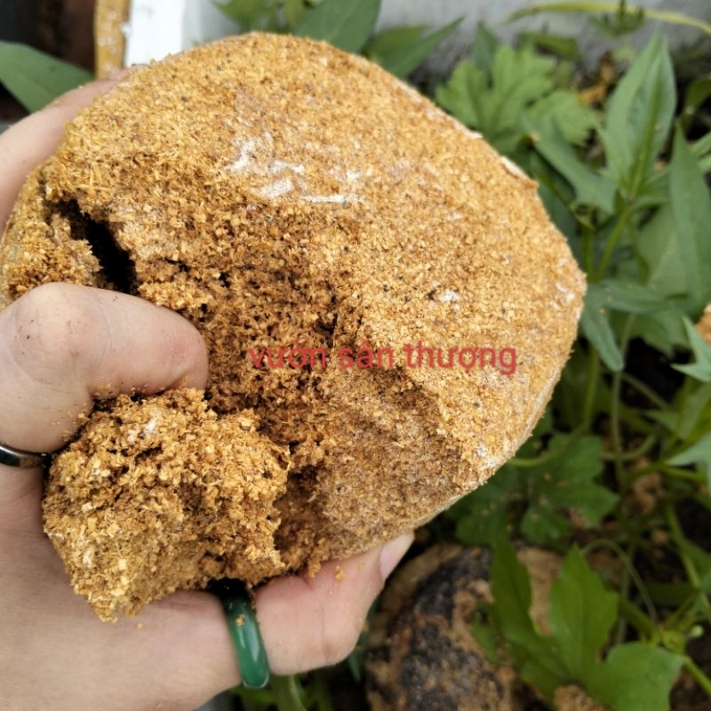 Phôi Nấm Thải, Giá Thể Trộn Trồng Cây, Nguyên Liệu Trồng Nấm Rơm