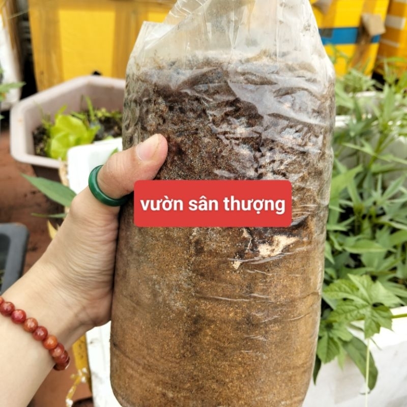 Phôi Nấm Thải, Giá Thể Trộn Trồng Cây, Nguyên Liệu Trồng Nấm Rơm