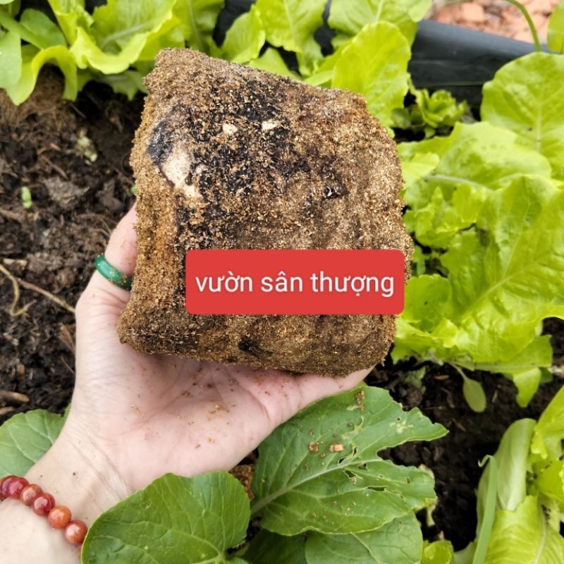 Phôi Nấm Thải, Giá Thể Trộn Trồng Cây, Nguyên Liệu Trồng Nấm Rơm