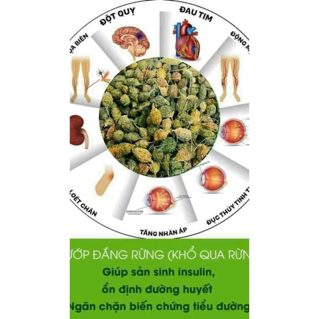 1kg Khổ qua rừng mướp đắng rừng Tây Bắc nguyên quả loại 1