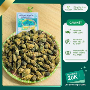 1kg Khổ qua rừng mướp đắng rừng Tây Bắc nguyên quả loại 1