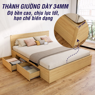 Giường Ngủ FIVO FN02, Thiết Kế 2 Hộc Tủ Tiện Lợi, Gỗ Chống Ẩm Cao Cấp, Trả Góp 0%, Freeship + Free lắp đặt