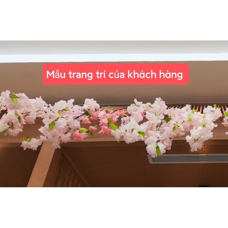 Hoa Anh Đào Sakura 1 cành 4 nhánh hoa trang trí không gian Nhật