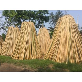Cán cờ gậy treo cờ Tổ quốc gậy tre trúc thẳng dài 1m que cắm cờ gia đình đi bão chiến thắng đội tuyển Việt Nam