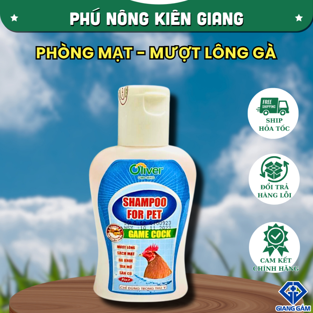 Về Luyện Gà Chọi