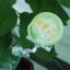 Kẹp nhựa dùng để kẹp tấm giảm giá quảng cáo wobbler nhựa cao cấp thường dùng tại cửa hàng, siêu thị.