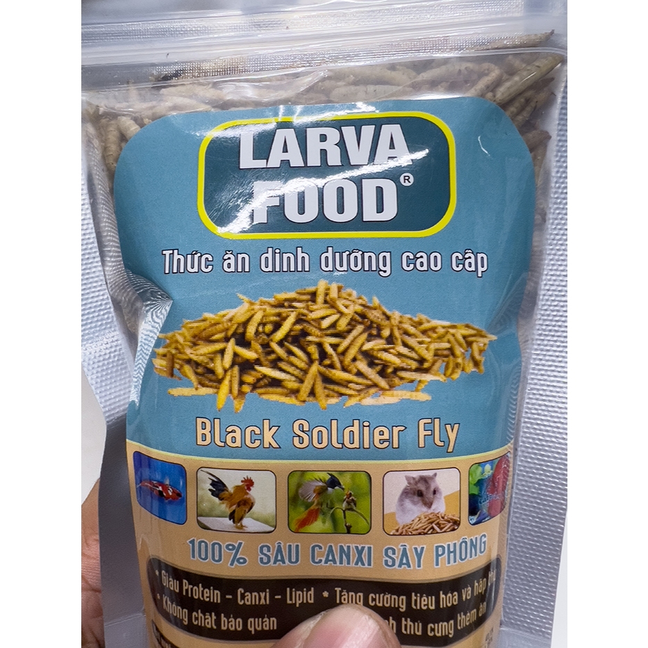 SÂU CANXI SẤY KHÔ CHO CÁ CHIM VÀ BÒ SÁT 100G, 500G LARVA FOOD BLACK SODIER FLY