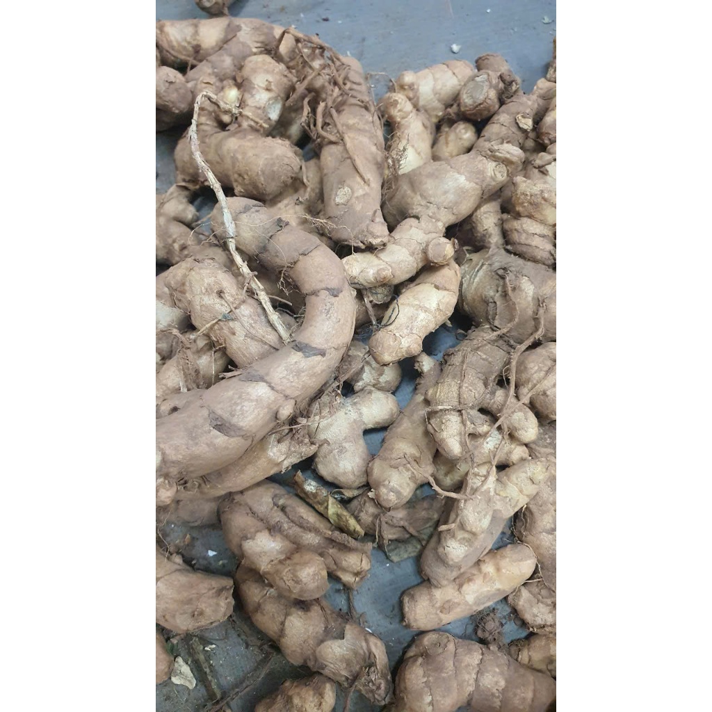 NGHỆ ĐEN TƯƠI - VIÊM LOÉT DẠ DÀY