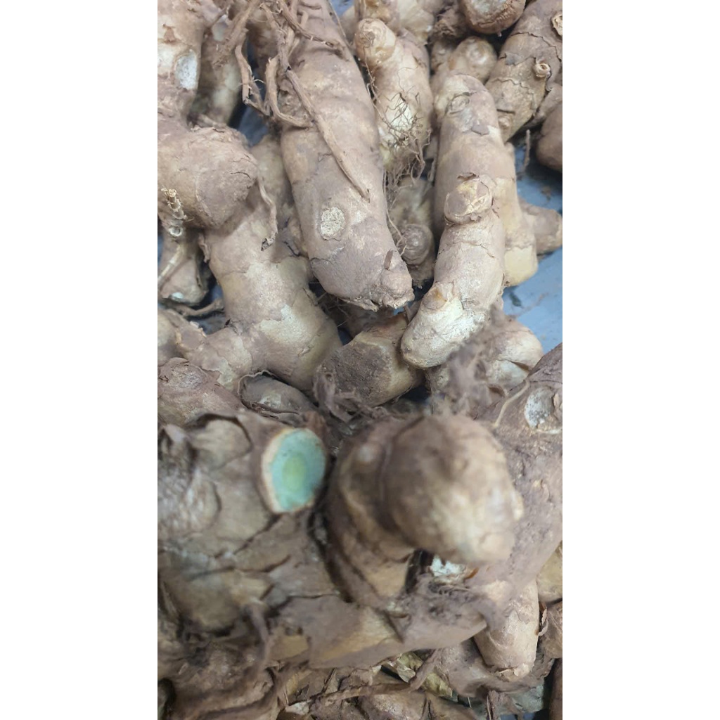 NGHỆ ĐEN TƯƠI - VIÊM LOÉT DẠ DÀY