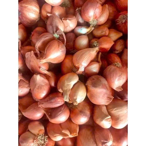 Hành Khô [Đầu Mùa] 3Kg Loại 1 Chuẩn Gốc Kinh Môn, Hải Dương. To, Căng, Mẩy, Chuẩn Chất Lượng, Gia Vị Cho Sức Khỏe