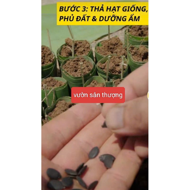 1Kg Lá Chuối Dùng Làm Bầu Uơm, Gói Bánh Chưng, Bánh Tét