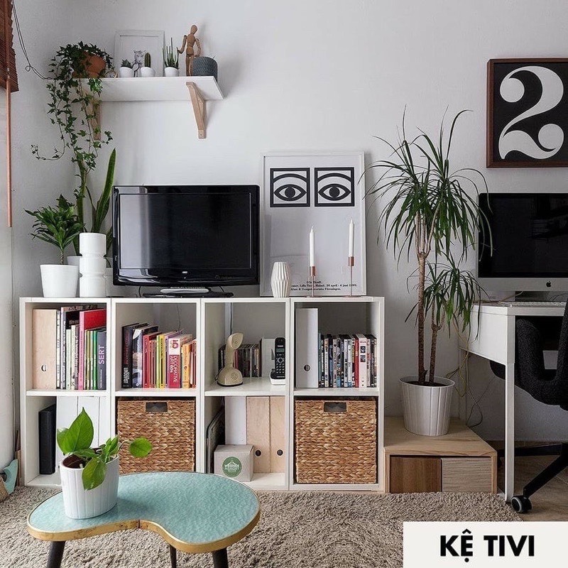 Kệ Sách Gỗ - Kệ Để Đồ Gỗ Đa Năng Tổ Ong Nhiều Tầng Lắp Ghép Cực Tiện Ích