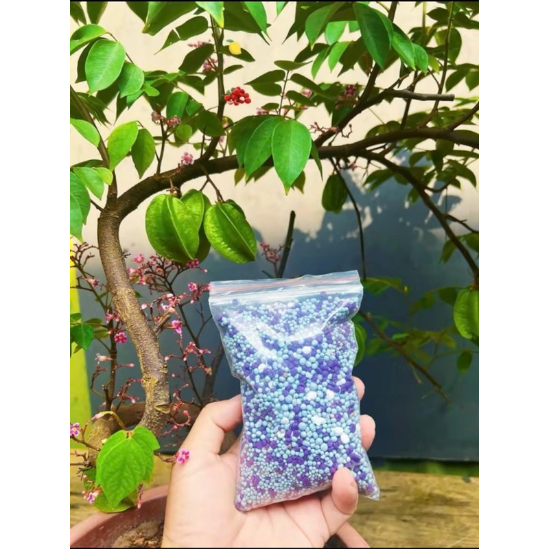 Phân bón mix - Kích sung , me ,khế,ổi ra quả theo ý muốn