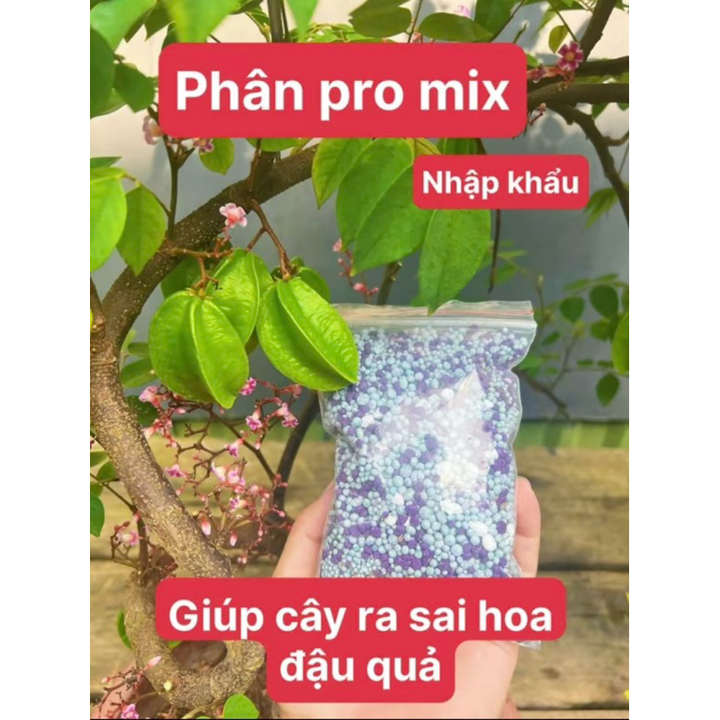 Phân bón mix - Kích sung , me ,khế,ổi ra quả theo ý muốn