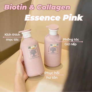 GỘI XẢ Biotin Collagen Essence Pink