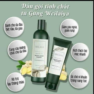 GỘI XẢ WEILAIYA GỪNG