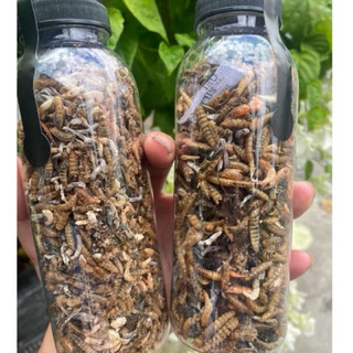 Thức ăn bổ sung đạm cho Hamster chai 330ml | Nhím cảnh | Bọ ú được tổng hợp từ các loại sâu