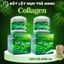 Cobom 2 hộp Bột lột mụn trà xanh collagen Mỹ hạnh ,làm sạch mụn cám mụn đầu đen,chất bả nhờn ,50g