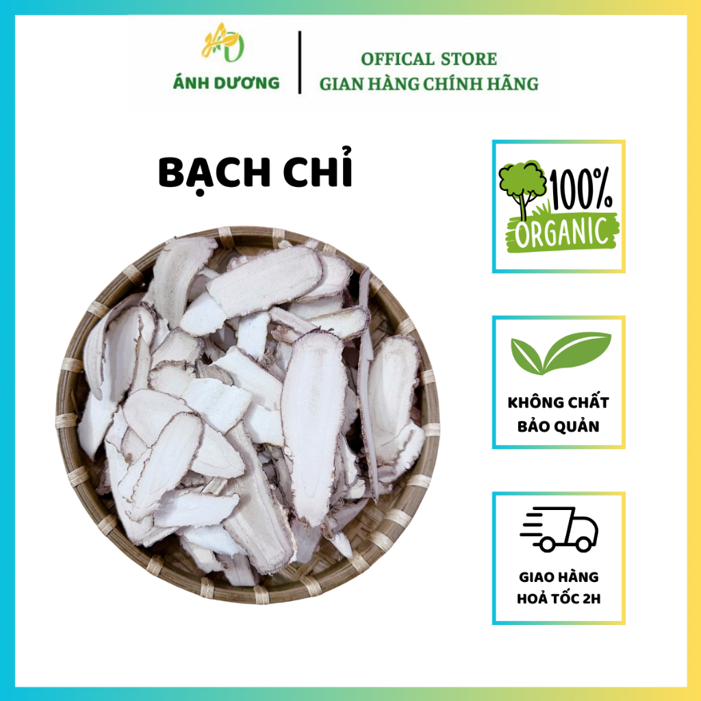 Bạch Chỉ Khô Sạch, Đẹp Nguyên Chất Hàng Chính Hãng Chất Lượng