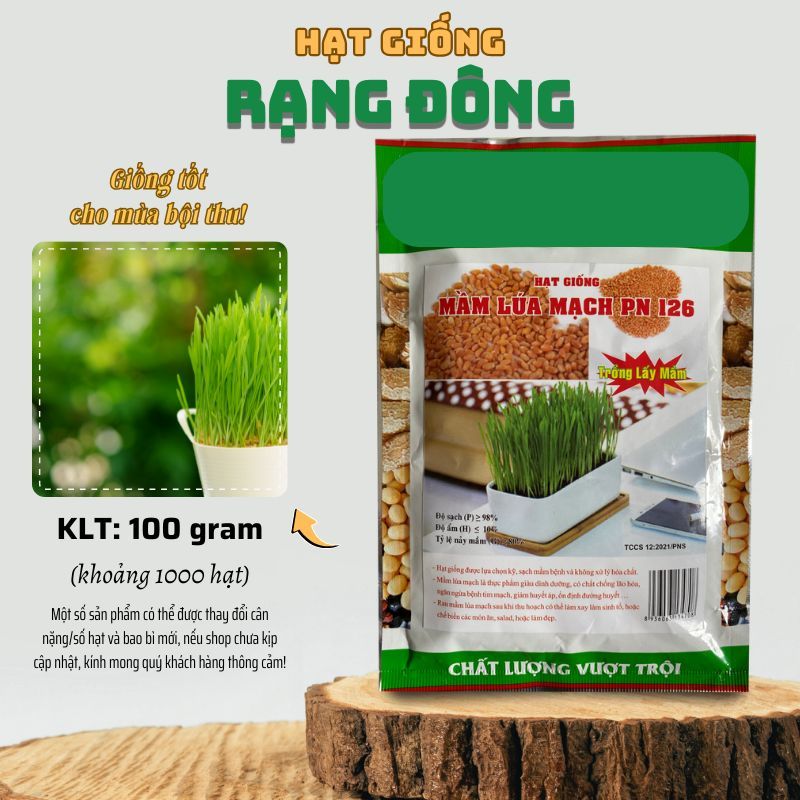 Hạt giống Mầm Lúa Mạch (100g~1000 hạt) (Cỏ Lúa Mì) Dễ Trồng, Thơm, Ngọt ...