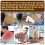 Tấm sưởi điện 3B Care T24 sưởi ấm đa điểm từng vị trí trên cơ thể, đệm sưởi điện vải nhung pha lê mềm mại