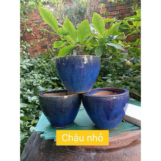 Chậu Gốm Xanh Coban Đáy Không Lỗ - Dùng Trồng Cây Thủy Sinh - Nuôi Cá Cảnh - Trang Trí Tiểu Cảnh Nhiều Kích Thước