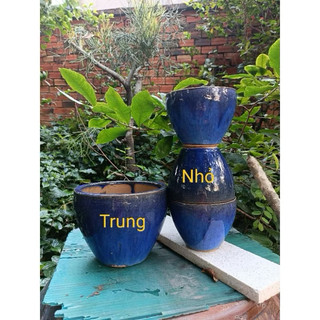 Chậu Gốm Xanh Coban Đáy Không Lỗ - Dùng Trồng Cây Thủy Sinh - Nuôi Cá Cảnh - Trang Trí Tiểu Cảnh Nhiều Kích Thước