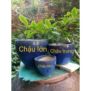 Chậu Gốm Xanh Coban Đáy Không Lỗ - Dùng Trồng Cây Thủy Sinh - Nuôi Cá Cảnh - Trang Trí Tiểu Cảnh Nhiều Kích Thước