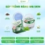 SÁP TRẮNG RĂNG TOOTH PASTE HỖ TRỢ TRẮNG SÁNG RĂNG BẬT TONE VÀ KHỬ MÙI