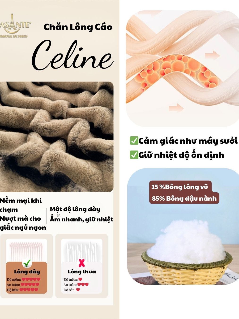Đánh Giá Chăn Lông Cáo Lasante Celine 5kg: Ấm Áp Đẳng Cấp Mùa Đông Đại Hàn