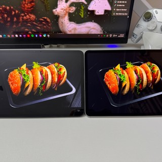 [BẢN MỚI] Miếng dán màn hình iPad chống chói – film chống phản chiếu từ tính Ful màn không tai thỏ