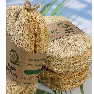 COMBO 5 MIẾNG RỬA BÁT OVAL Xơ mướp tự nhiên KB Ecolife tạo bọt mịn rửa sạch chén bát ko hóa chất