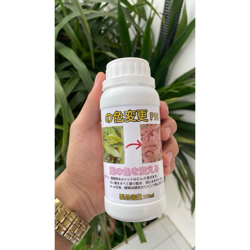 Đổi màu lá từ xanh sang mầu Hồng