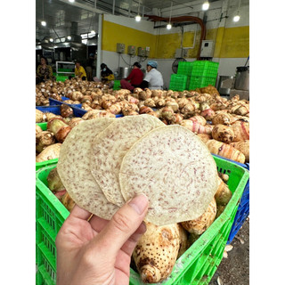 THUYTIENFOOD Môn Lát Sấy túi 500g – Snack Giòn Rụm túi 1kg – Ăn Vặt Ngon – Thực Phẩm Ăn Vặt Healthy