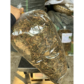 1kg Lá đinh lăng nếp khô, sạch mới LOẠI 1