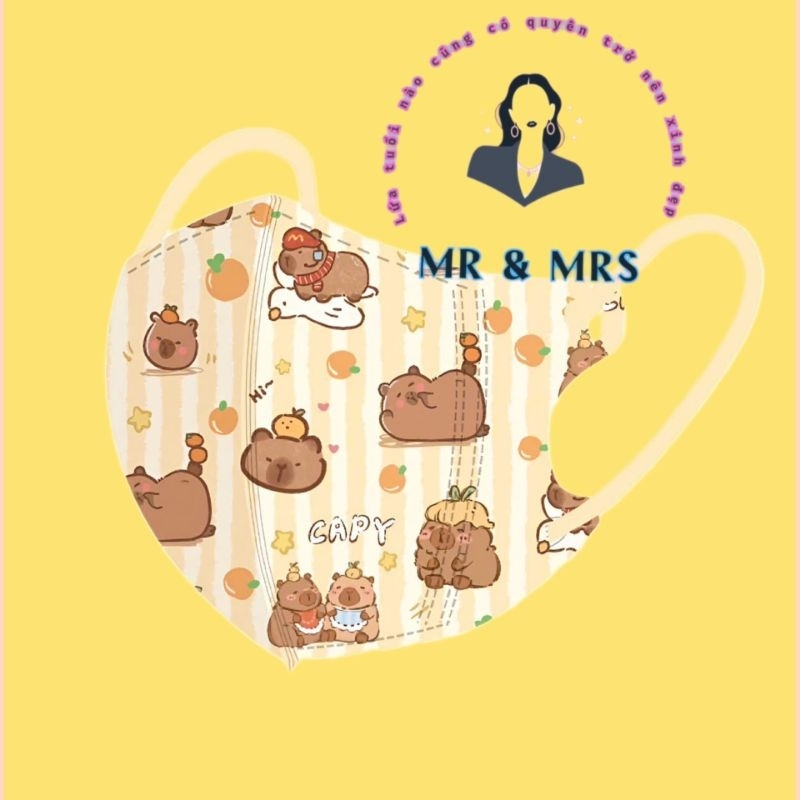 ( Set 10/50C) KHẨU TRANG HOẠT HÌNH CAPYBARA 3D CUTE PHÔ MAI QUE-TRẺ EM TỪ 6 - 27Kg