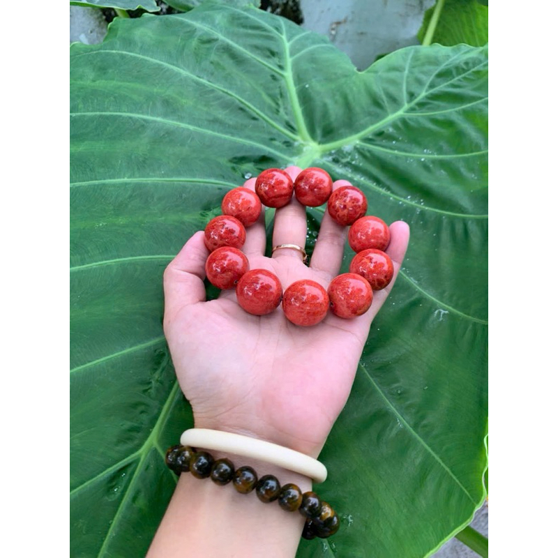vòng tay san hô đỏ 20ly